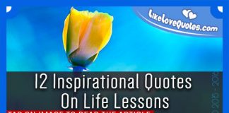 12 Inspirational Quotes On Life Lessons, likelovequotes.com ,Like Love Quotes