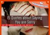 15 Quotes about Saying You are Sorry, likelovequotes.com ,Like Love Quotes