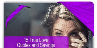 15 True Love Quotes and Sayings, likelovequotes.com ,Like Love Quotes
