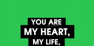 You are my HEART, my LIFE, my entire EXISTENCE, likelovequotes.com ,Like Love Quotes