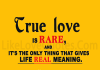 True Love Gives Meaning To Life-likelovequotes, likelovequotes.com ,Like Love Quotes