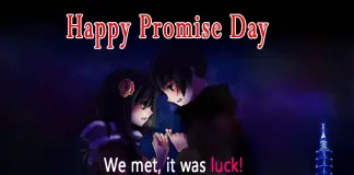 We Met, It Was Luck - Happy Promise Day-likelovequotes, likelovequotes.com ,Like Love Quotes