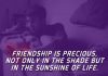Friendship is precious, not only in the shade but in the sunshine of life.