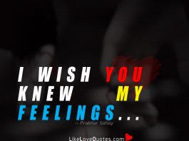 I wish you knew my feelings