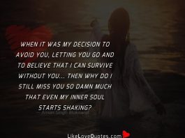 When it was my decision to avoid you, letting you go and to believe that i can survive without you... Then why do i still miss you so damn much that even my inner soul starts shaking