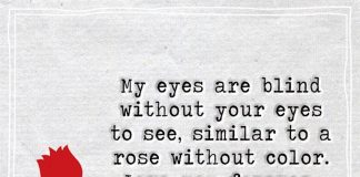 Similar To A Rose Without Color. Love You Forever-likelovequotes