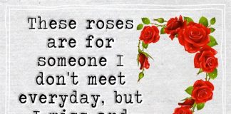 These Roses Are For Someone I Don't Meet Everyday -likelovequotes