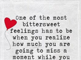 One of the most bitter sweet feelings has to be when you realize how much you are going to miss a moment while you are still living it -likelovequotes
