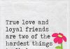 True love and loyal friends are two of the hardest things to find -likelovequotes