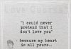 I could never pretend that I don't love you-likelovequotes