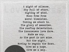 A night of silence -likelovequotes