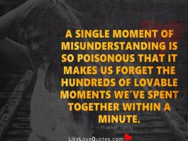 A Single Moment Of Misunderstanding Is-likelovequotes