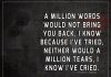 A Million Words Would Not Bring You Back-likelovequotes
