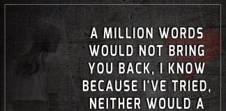 A Million Words Would Not Bring You Back-likelovequotes