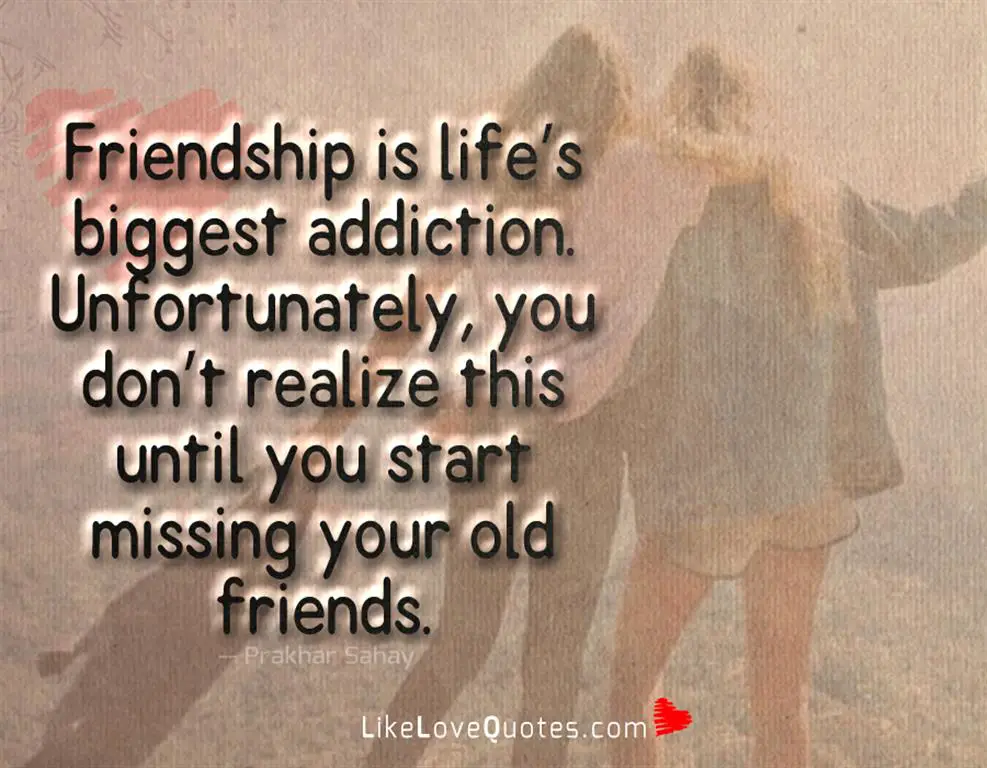 Friendship Is Life’s Biggest Addiction -likelovequotes